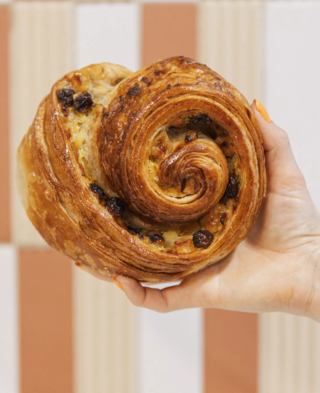 A hand holding a laminated raisin swirl pastry against a striped wall.
