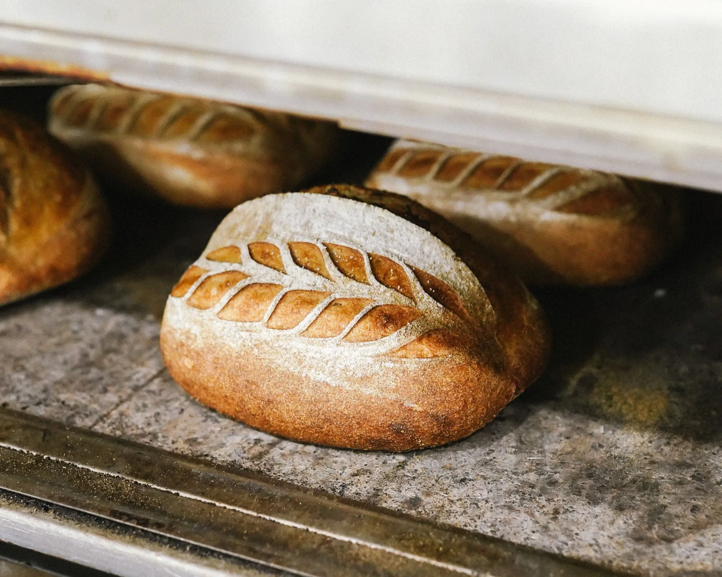 Almanac Sourdough Loaf
