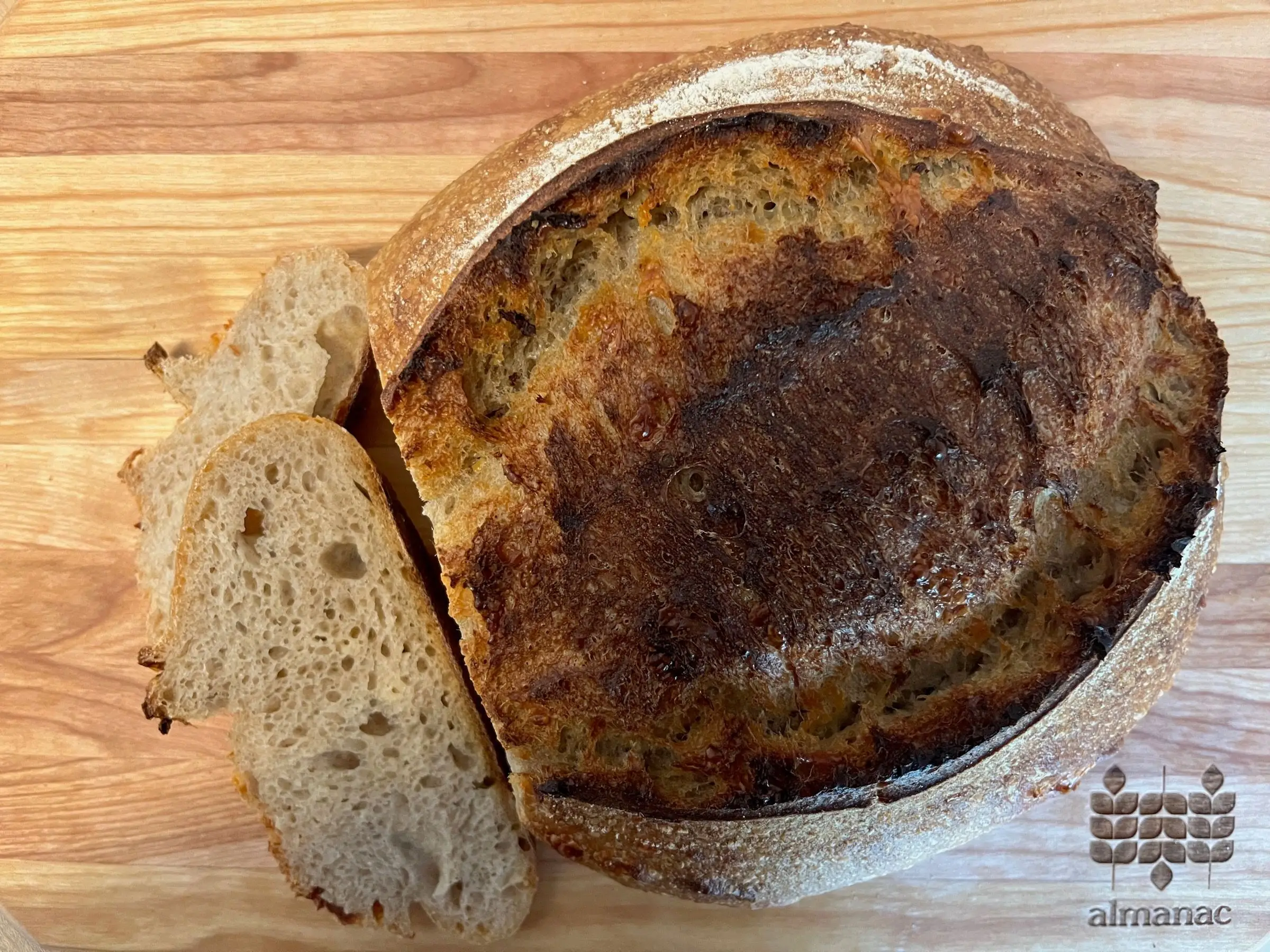 Red Fife Sourdough with Wheat Berries
