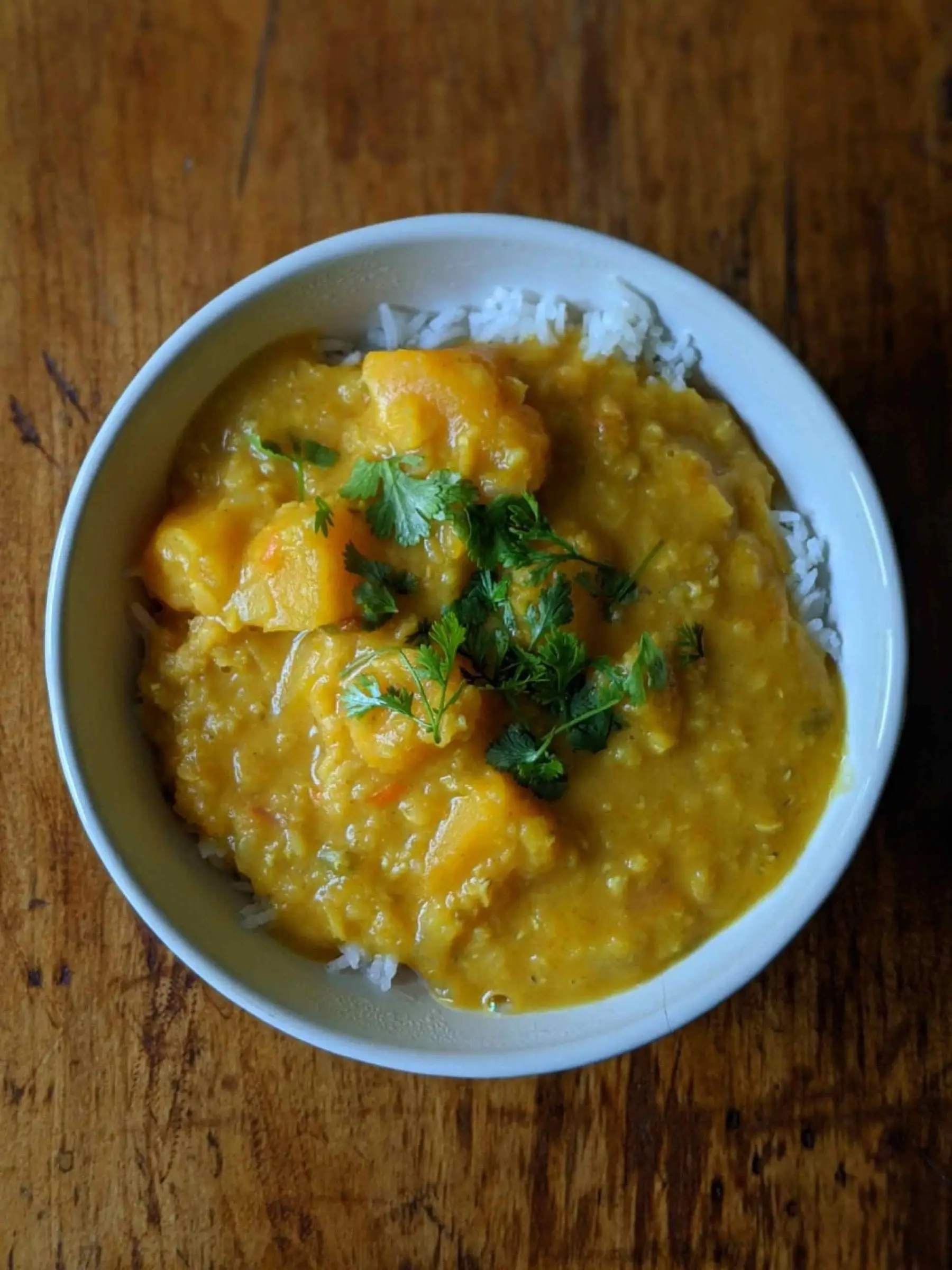 Red Lentil Squash Curry